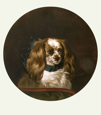 Fairy (Landseer's Spaniel)