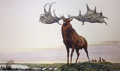 Great Elk