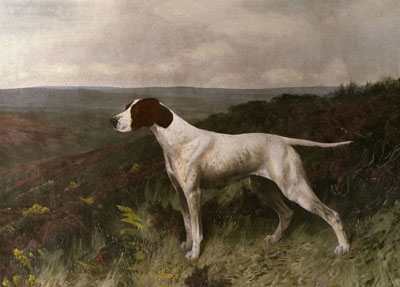Pointer of The 20th Century