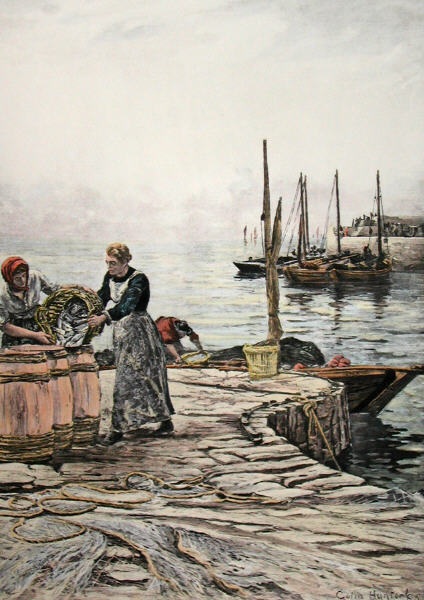 Herring Fishing