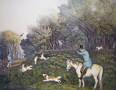 Pheasant Shooting (October)