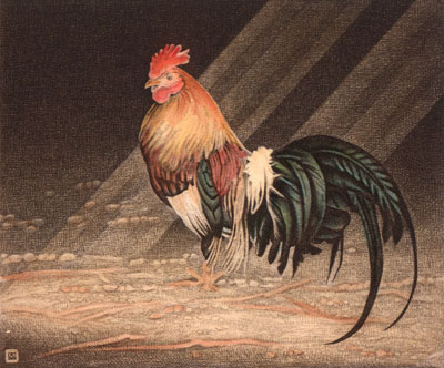 Cockerel