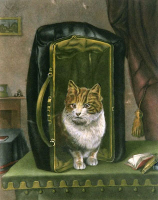 Letting The Cat Out Of The Ba