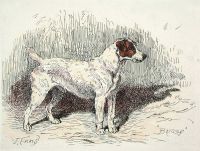 Hound, Briggs