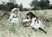 Wild Flowers