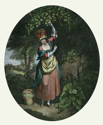 Gathering Nuts
