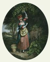 Gathering Nuts