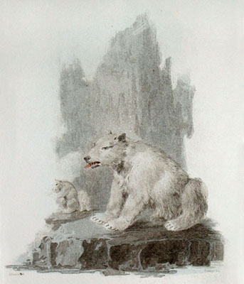 Polar Bear