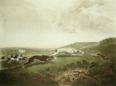 Coursing