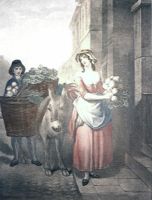 London Cries, Turnips