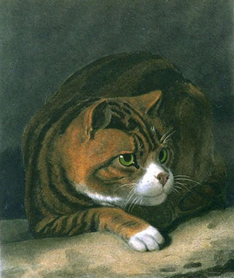 Tom