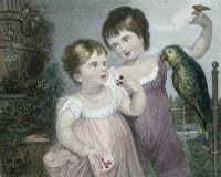 Girls With Parrot
