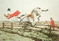 Qualified Horses - Plate II