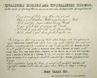 Qualified Horses - Plate VIII