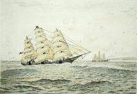 Clippers - The Norman Court