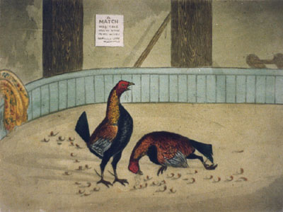 Cock Fighting Pl.VI