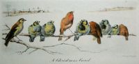 Christmas Carol, A (Birds)