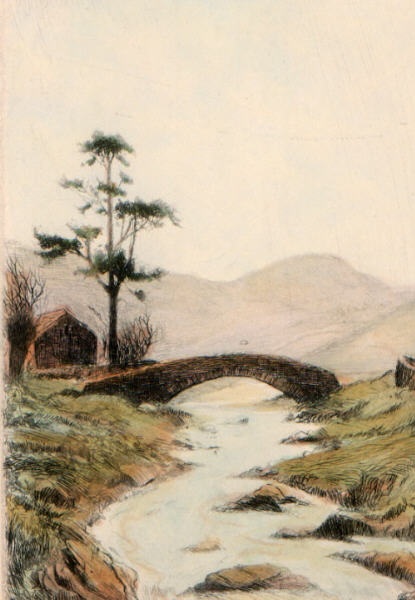 Brook & Bridge