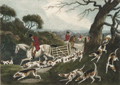 Fox Hunting - Plate I