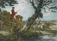 Fox Hunting - Plate V