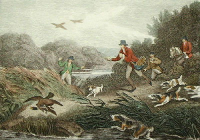 Duck Hawking