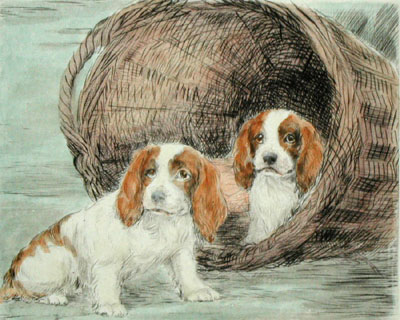 Two Pups in Basket