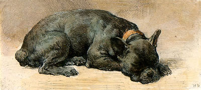 Sleeping Dog
