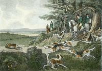 Harehunting, Plate 11