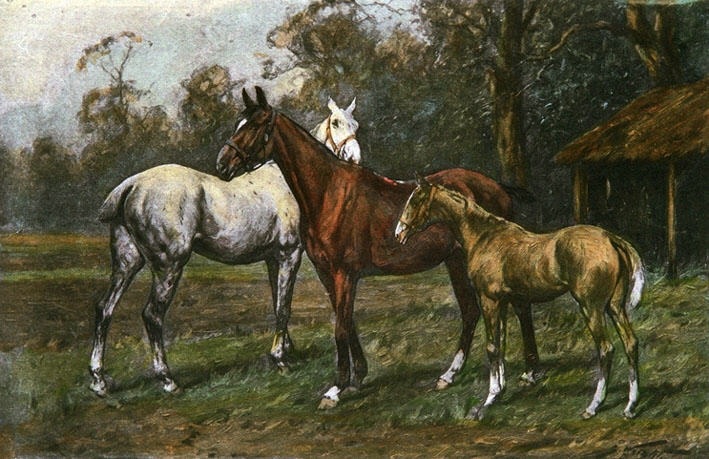 Promising Youngster, A