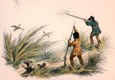 Duck Shooting - Plate II