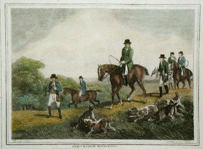 Partridge Hawking