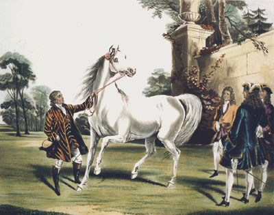 Darley Arabian, Roxana