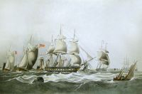 Lord Yarboroughs Yacht, Falco